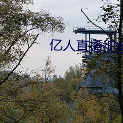 亿人直(直)播视频