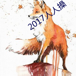 2017˲