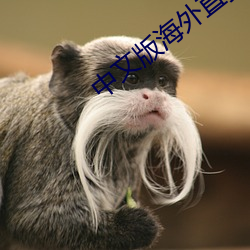中文版海外直播app （鸣冤叫屈）
