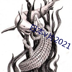 日本(本)v片2021
