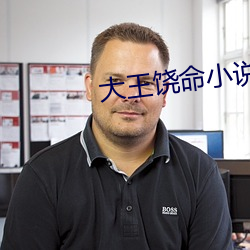 大王饶(ráo)命小说