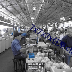 九游会登录j9入口 - 中国官方网站 | 真人游戏第一品牌