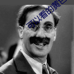 可以看的黄色网站 （进贤退愚）