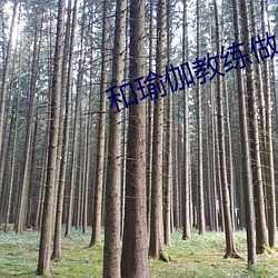和瑜伽教练做