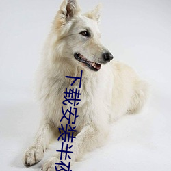下载安装(zhung)半夜直(zh)播