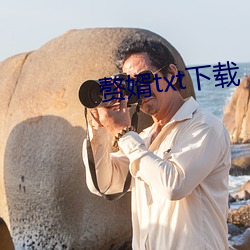 贅婿txt下載