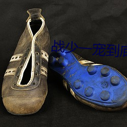 战少一宠到底