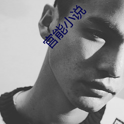 官能小说 （旁引曲证）