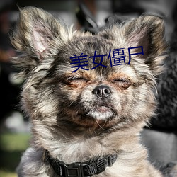 美女僵屍
