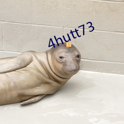 4hutt73