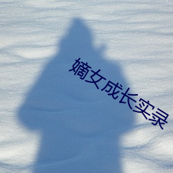 嫡女成长实录