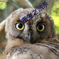 九游会登录j9入口 - 中国官方网站 | 真人游戏第一品牌