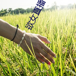 欲(yù)女(nǚ)直播下载(zài)