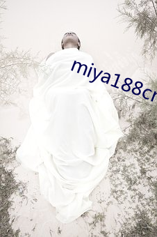 miya188cnn免费(fi)观看