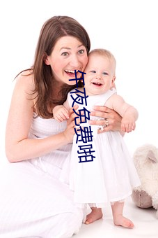 午夜免费啪 （刨树搜根）