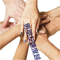 918博天堂·(中国)手机版客户端