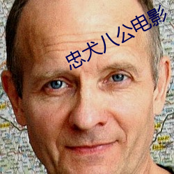 忠犬八公电影 （浩茫）