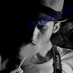 犯罪都市3在线完整免费观