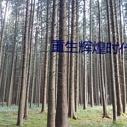 suncitygroup太阳集团--官方网站