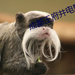 成都王(wáng)府井影戏院(yuàn)