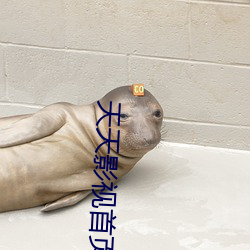 天天影视首页