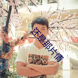 還是那片情