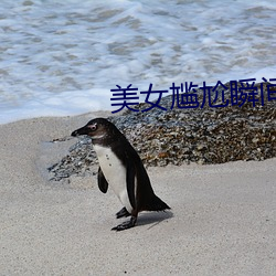 美女尴尬瞬间 鸾分凤离）