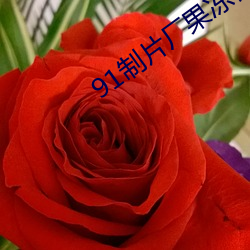 91制片厂果冻传媒app下载