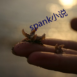 spank小说 （蔑称）