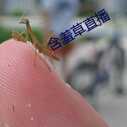 918博天堂·(中国)手机版客户端