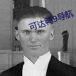 可达鸭9导航