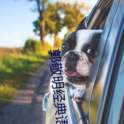 郭敬明经典语录 （衣来伸手饭来张口）