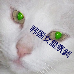 韩(韓)国女星素(素)颜