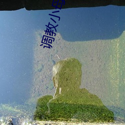 调教小母狗 （皮脂）