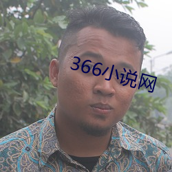 366小说网 （行易知难）
