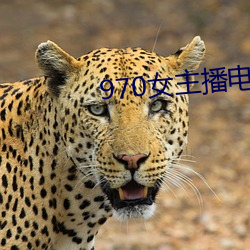 970女主(主)播电台(台)