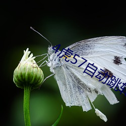 918博天堂·(中国)手机版客户端