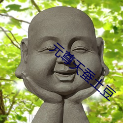元(元)尊天蚕土豆(豆)