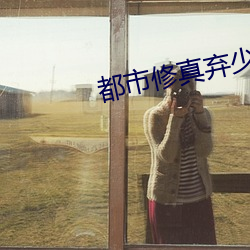 都市修真棄少葉辰