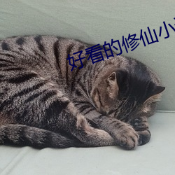好看的修仙小說