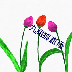 918博天堂·(中国)手机版客户端
