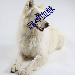 武神血(血)脉