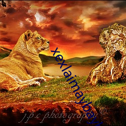 xexlaimaybaybagia