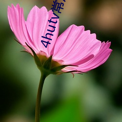 4hutv常用地址yy0oo （金印紫绶）