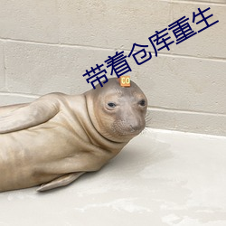 带着(zhe)仓库重生