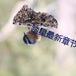 踏星最新章節