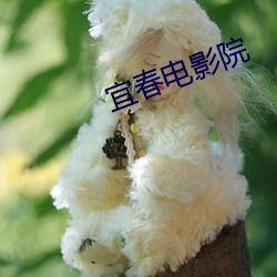 九游会登录j9入口 - 中国官方网站 | 真人游戏第一品牌