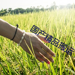 国产精品搬运