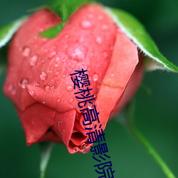 米乐M6·(中国)官方网站