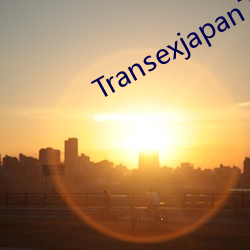 Transexjapan下载